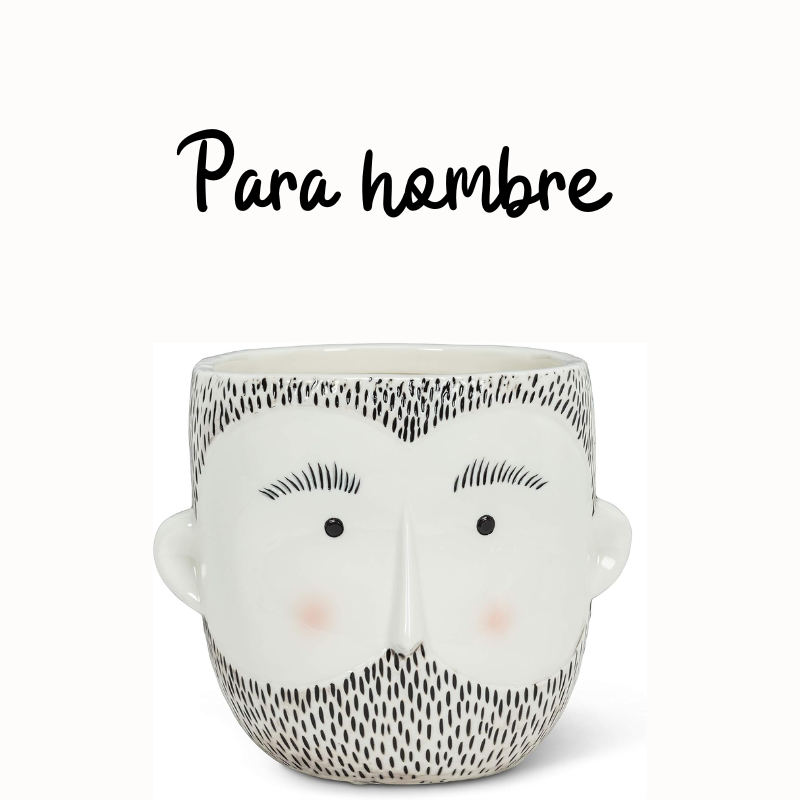 maceta para hombre con cara de hombre barbudo - abbott collection