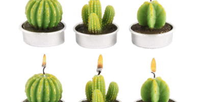 velas en forma de cactus para fiesta cumpleaños con tematica Frida Kahlo
